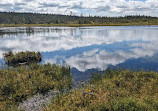 Fundy National Park Of Canada