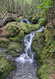 Fundy National Park Of Canada