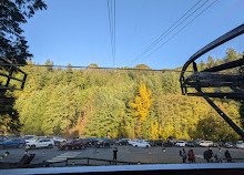 Grouse Mountain