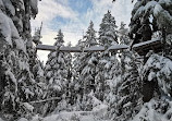 Grouse Mountain