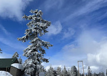 Grouse Mountain