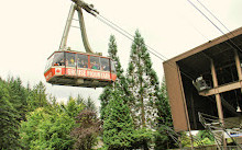 Grouse Mountain