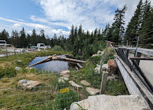 Grouse Mountain