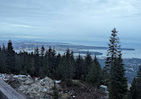 Grouse Mountain