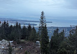 Grouse Mountain