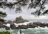 Lighthouse Park | West Vancouver