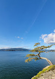 Lighthouse Park | West Vancouver