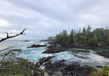 Lighthouse Park | West Vancouver