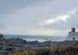 Lighthouse Park | West Vancouver