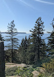 Lighthouse Park | West Vancouver