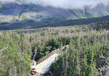 Gros Morne Mountain Hiking Trail