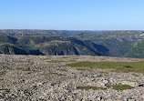 Gros Morne Mountain Hiking Trail