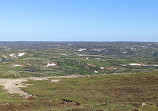 Gros Morne Mountain Hiking Trail