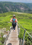 Gros Morne Mountain Hiking Trail