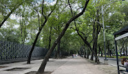 Bosque de Chapultepec