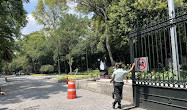 Bosque de Chapultepec