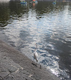 Bosque de Chapultepec