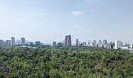 Bosque de Chapultepec