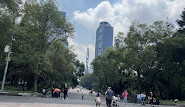 Bosque de Chapultepec