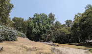 Bosque de Chapultepec