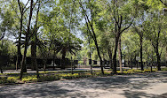 Bosque de Chapultepec