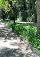 Bosque de Chapultepec