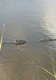 Brazoria National Wildlife Refuge