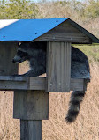 Brazoria National Wildlife Refuge