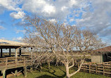 Brazoria National Wildlife Refuge