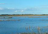 Brazoria National Wildlife Refuge