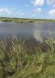 Brazoria National Wildlife Refuge