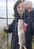 Brazoria National Wildlife Refuge