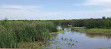 Brazoria National Wildlife Refuge