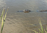 Brazoria National Wildlife Refuge