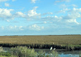 Brazoria National Wildlife Refuge