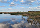 Brazoria National Wildlife Refuge