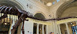 Field Museum