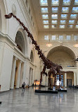 Field Museum