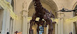 Field Museum