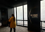 Skydeck Chicago