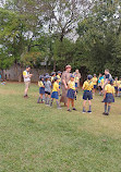 Scout group Peregrine Falcon