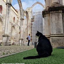 Carmo Convent