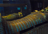 Egyptian Museum