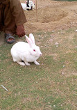 Al Azhar Park