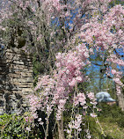 Dumbarton Oaks Museum