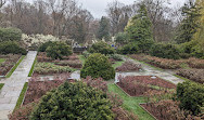 Dumbarton Oaks Museum