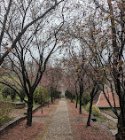 Dumbarton Oaks Museum