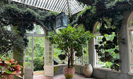 Dumbarton Oaks Museum