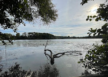 Heart Lake Park