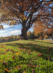 Heart Lake Park